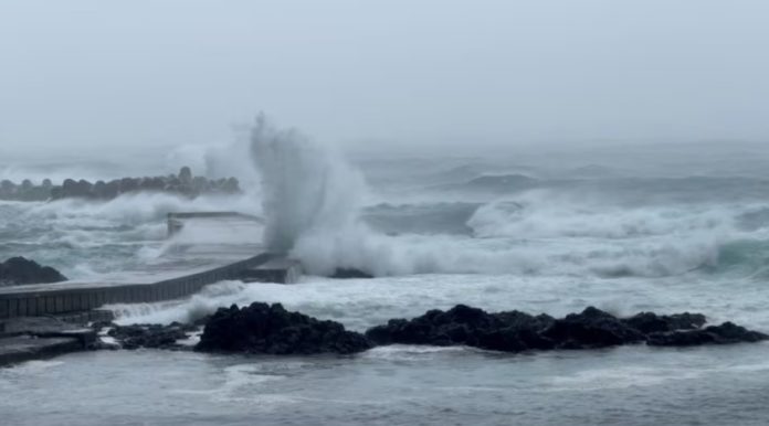 Flights, trains cancelled in Tokyo as typhoon Ampil draws closer