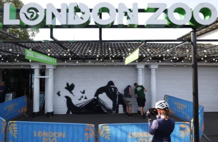 New Banksy artwork appears on shutter at London Zoo