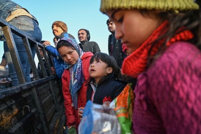migrants