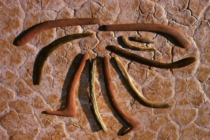 boomerang