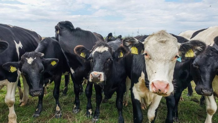 agricultural funds misuse