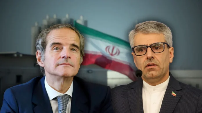 Tehran can't totally cut ties with IAEA, Iranian FM says