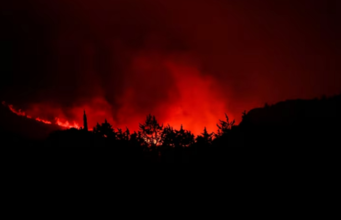 Huge forest fire rages in southern France